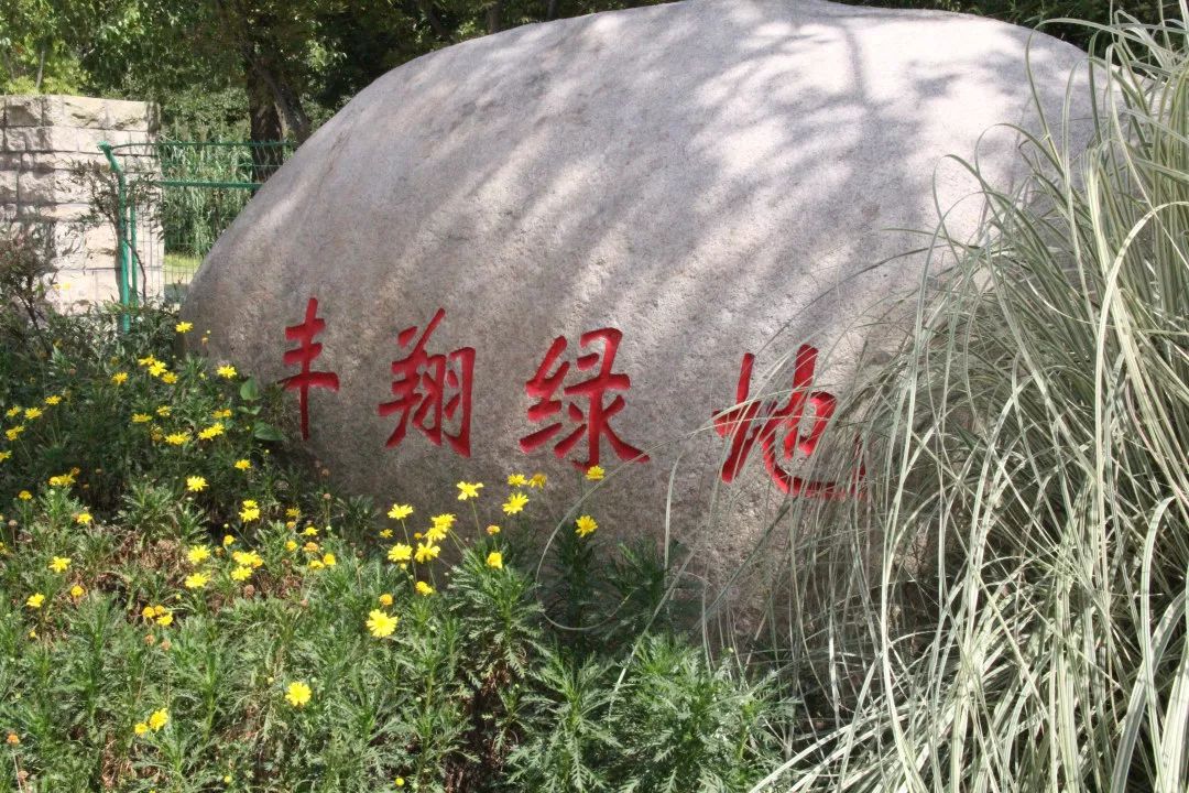 最美步道评选,黄浦最美健身步道