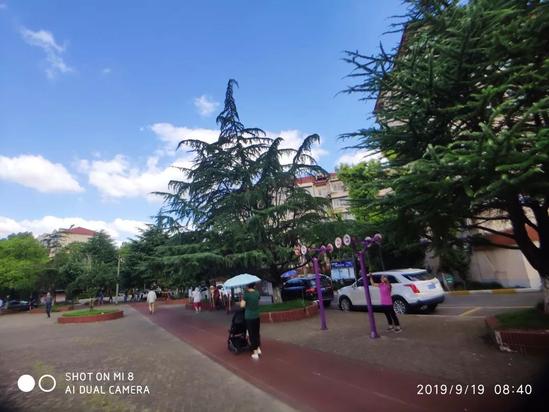 最美步道评选,黄浦最美健身步道