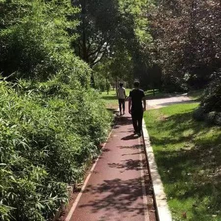 最美步道评选,黄浦最美健身步道