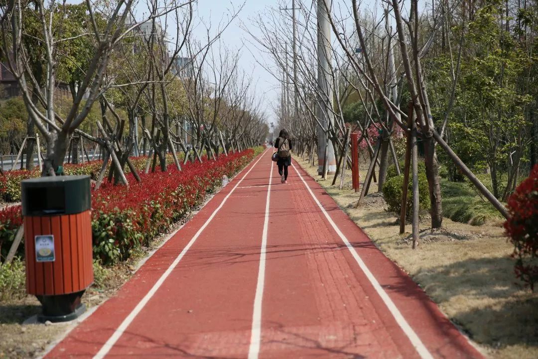 最美步道评选,黄浦最美健身步道