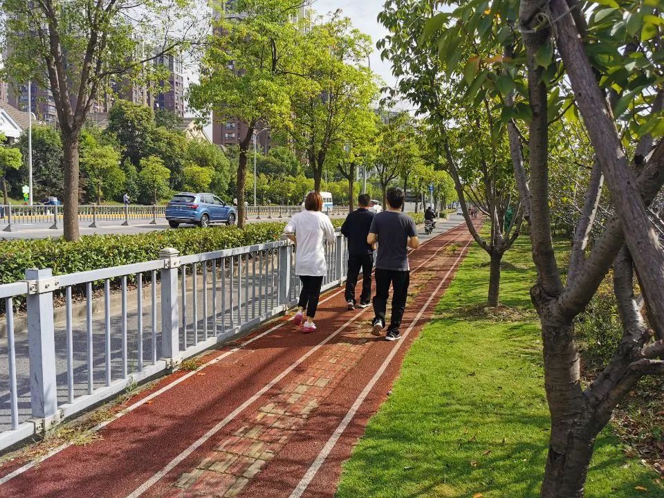 最美步道评选,黄浦最美健身步道