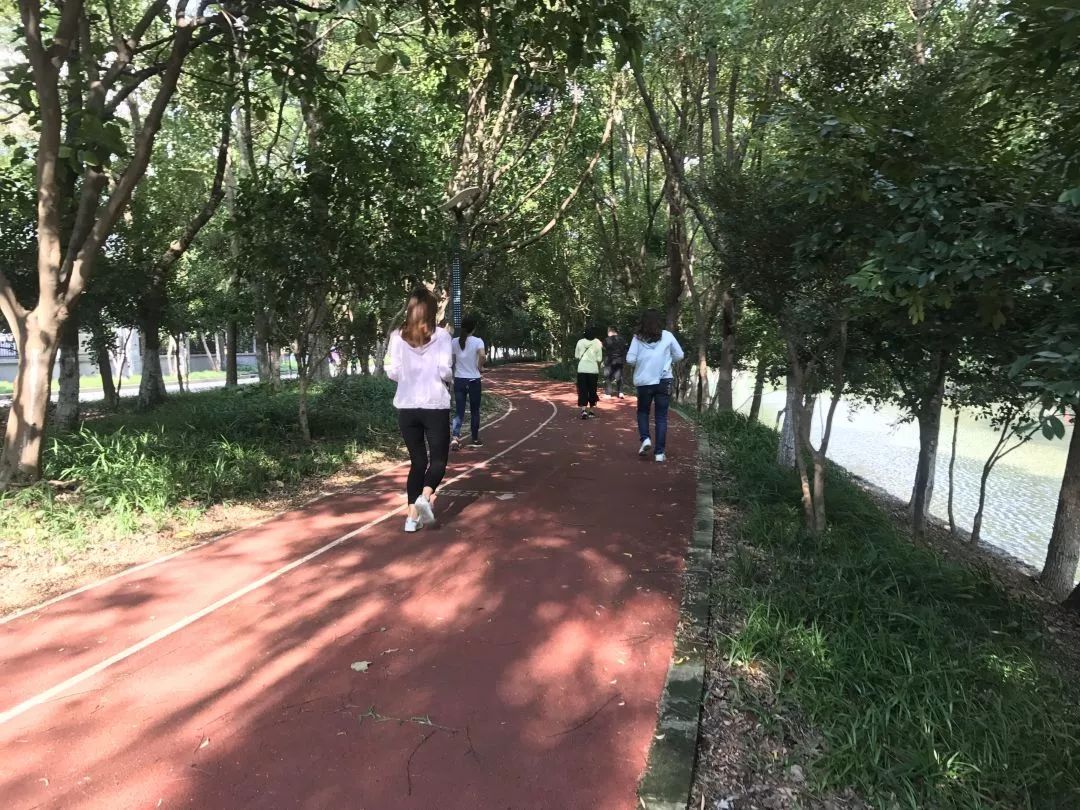 最美步道评选,黄浦最美健身步道