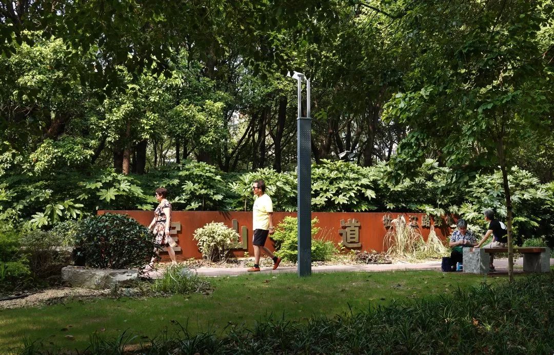 最美步道评选,黄浦最美健身步道