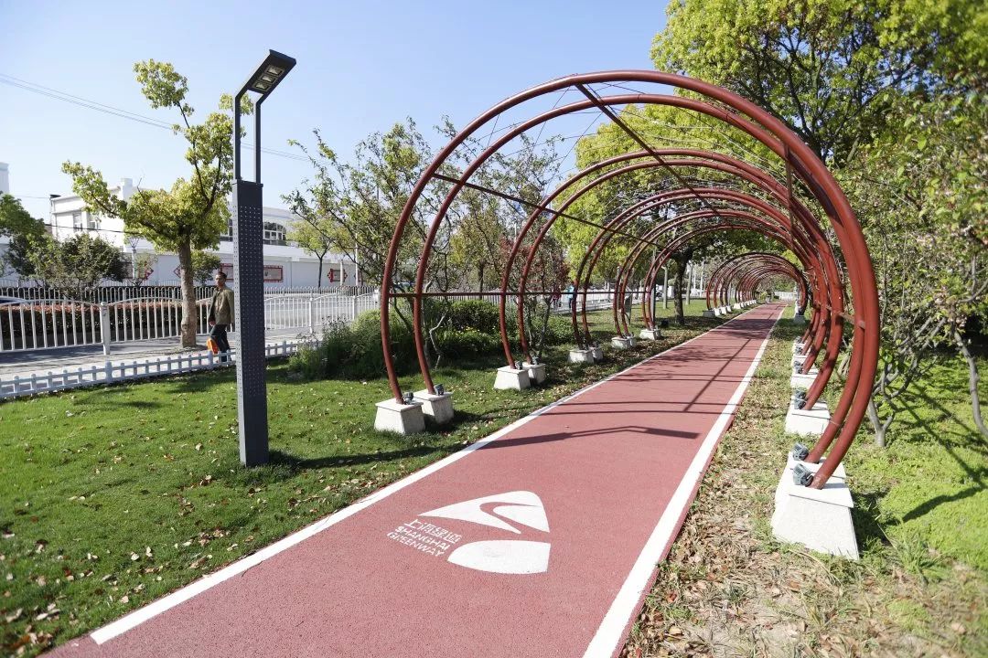 最美步道评选,黄浦最美健身步道