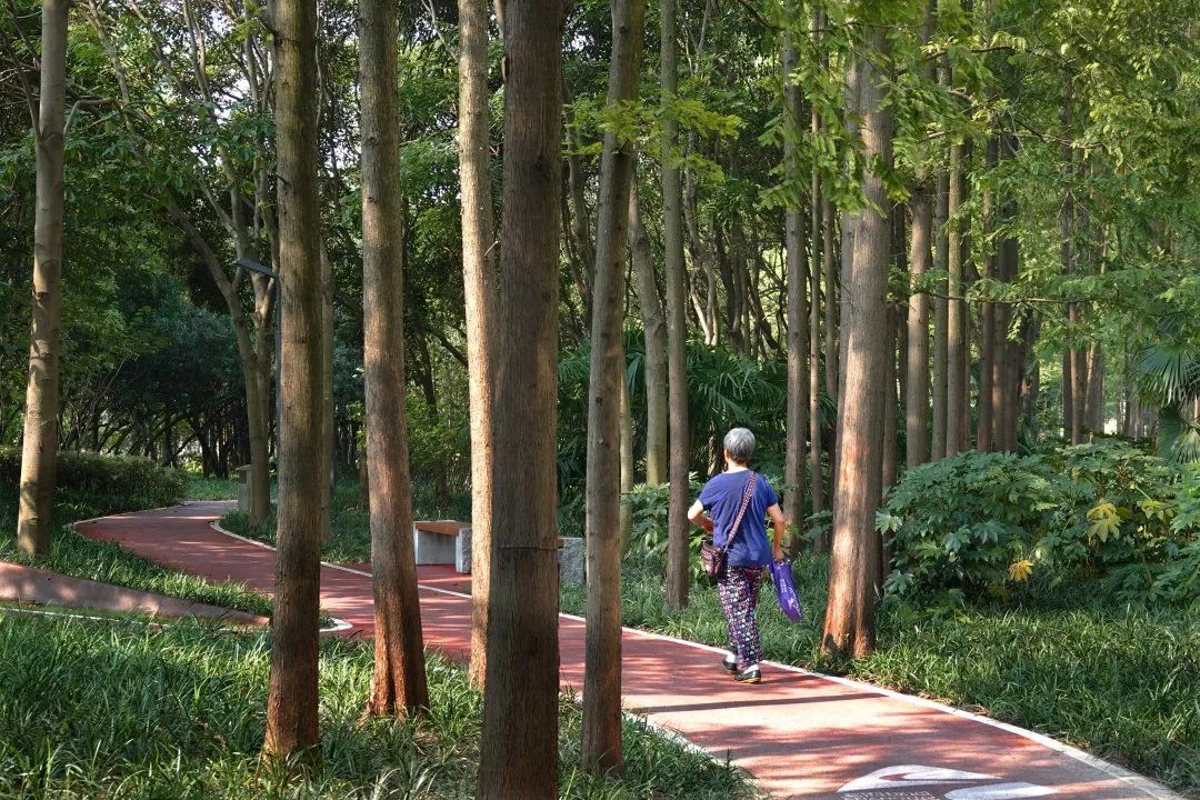 最美步道评选,黄浦最美健身步道