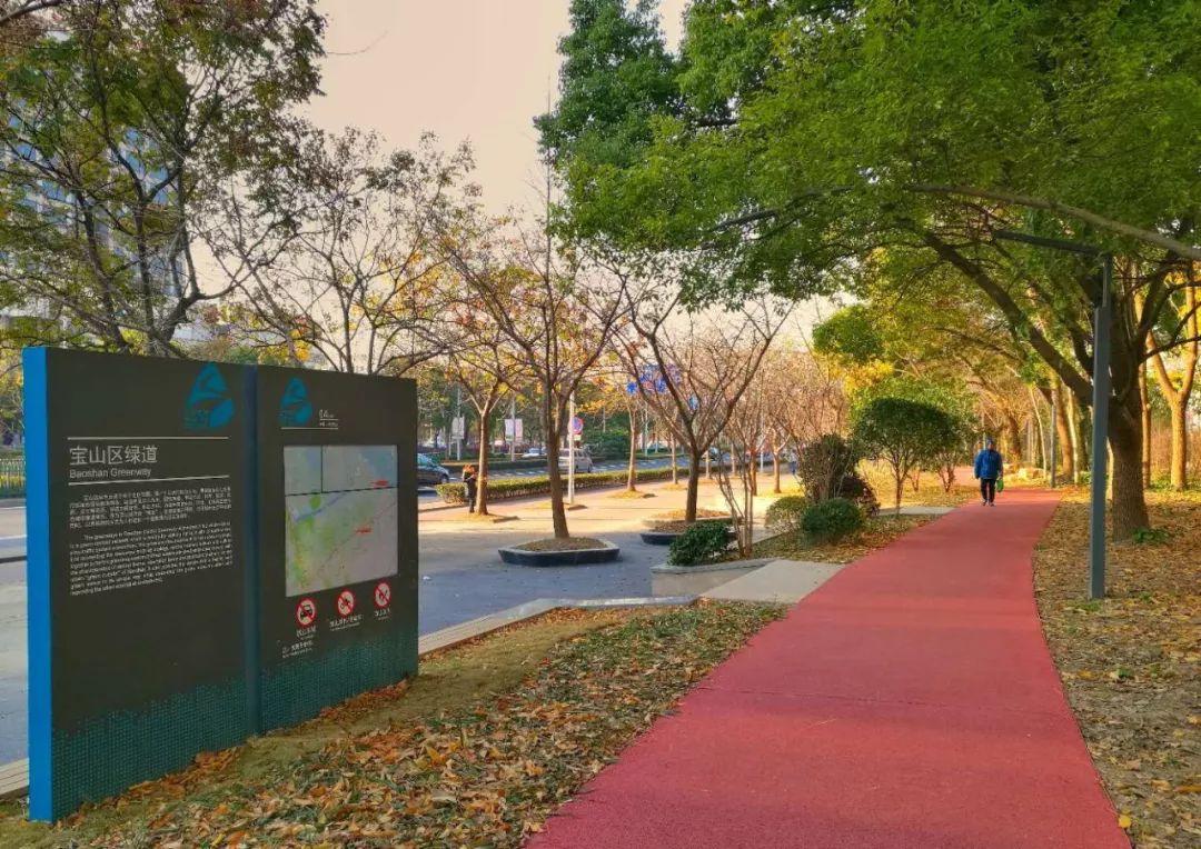 最美步道评选,黄浦最美健身步道