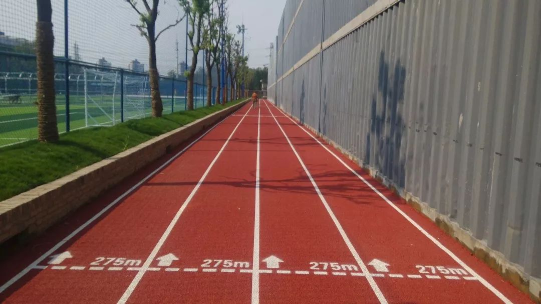 最美步道评选,黄浦最美健身步道