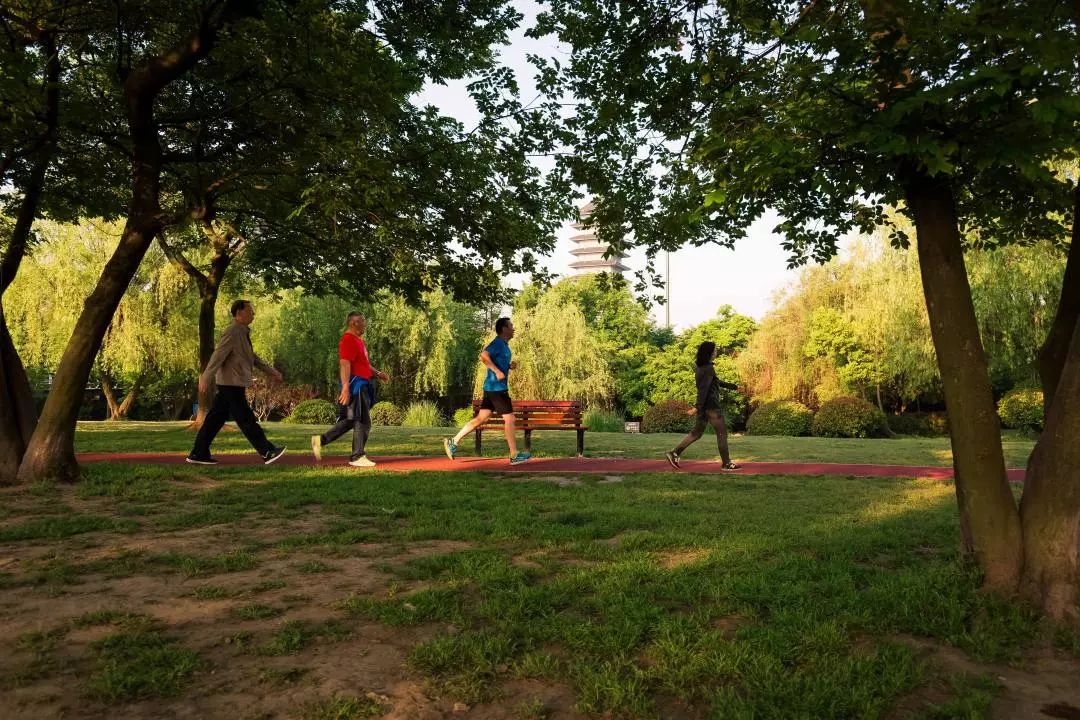 最美步道评选,黄浦最美健身步道