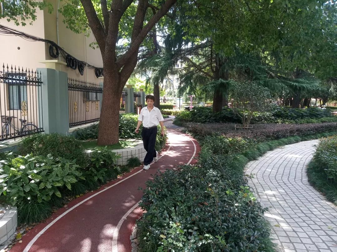 最美步道评选,黄浦最美健身步道