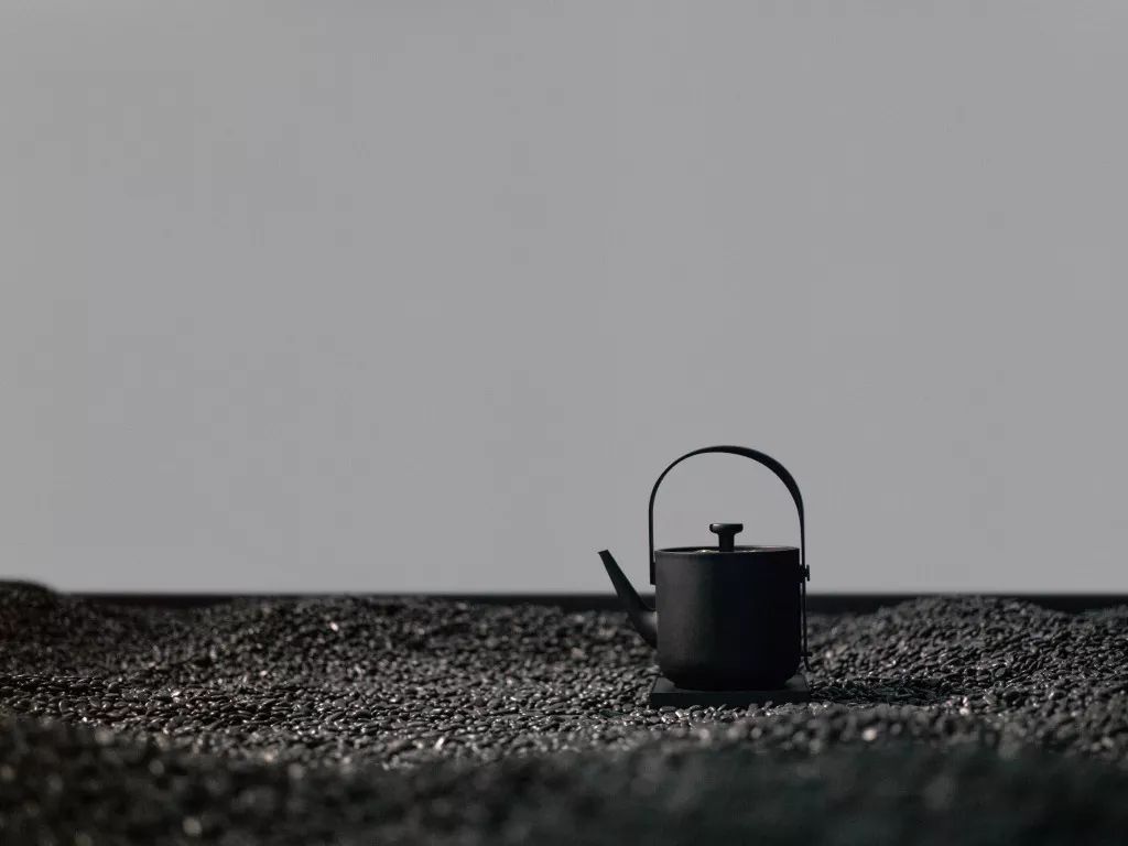 一只好看的电水壶，英国亲王都爱，五星酒店标配