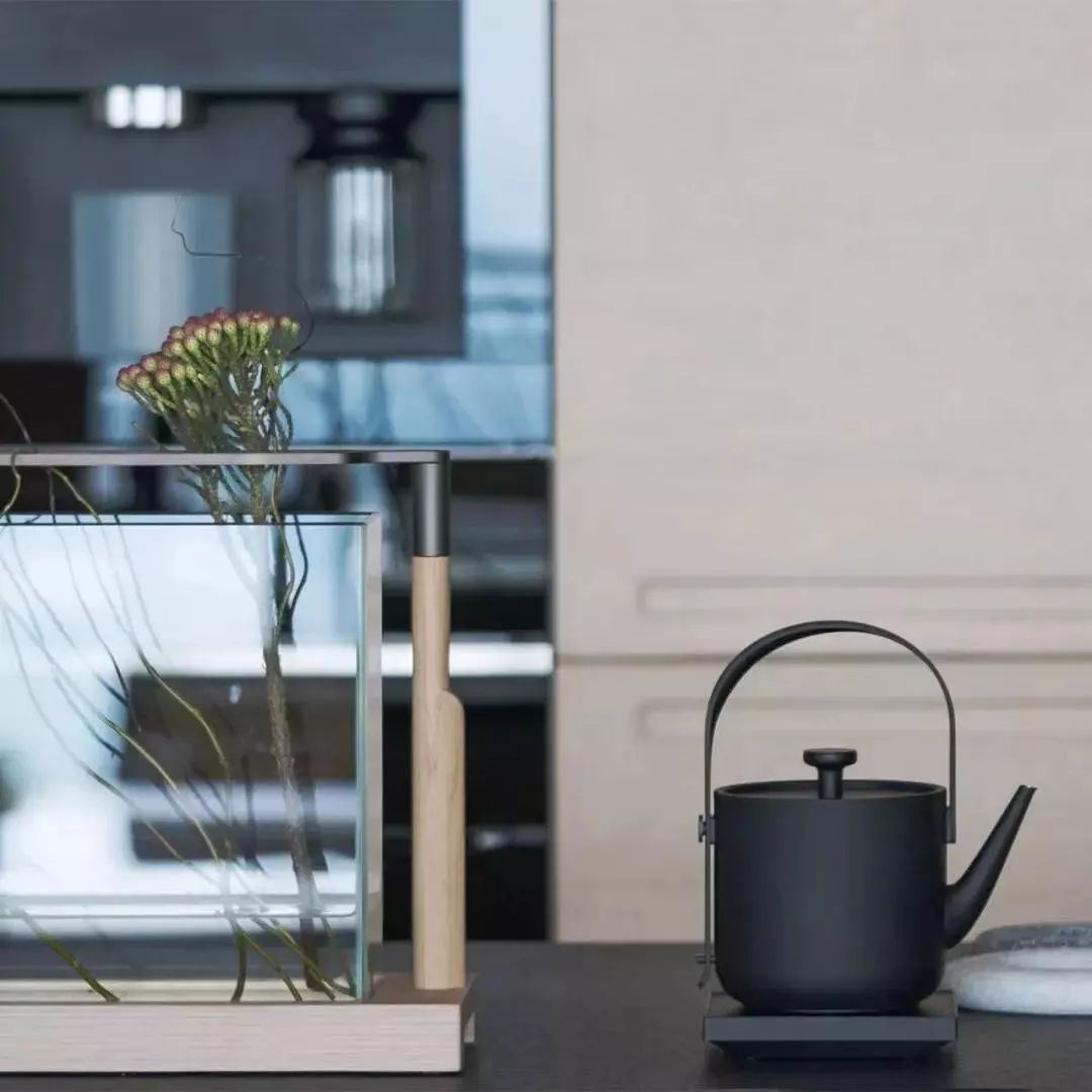 一只好看的电水壶，英国亲王都爱，五星酒店标配