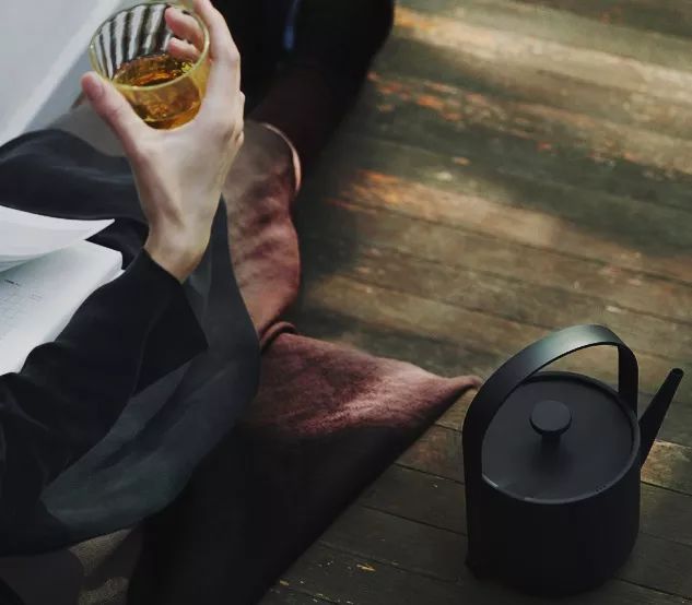 一只好看的电水壶，英国亲王都爱，五星酒店标配