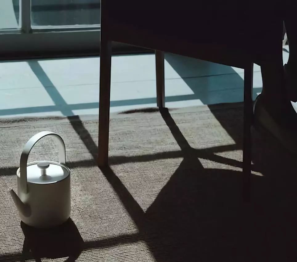 一只好看的电水壶，英国亲王都爱，五星酒店标配