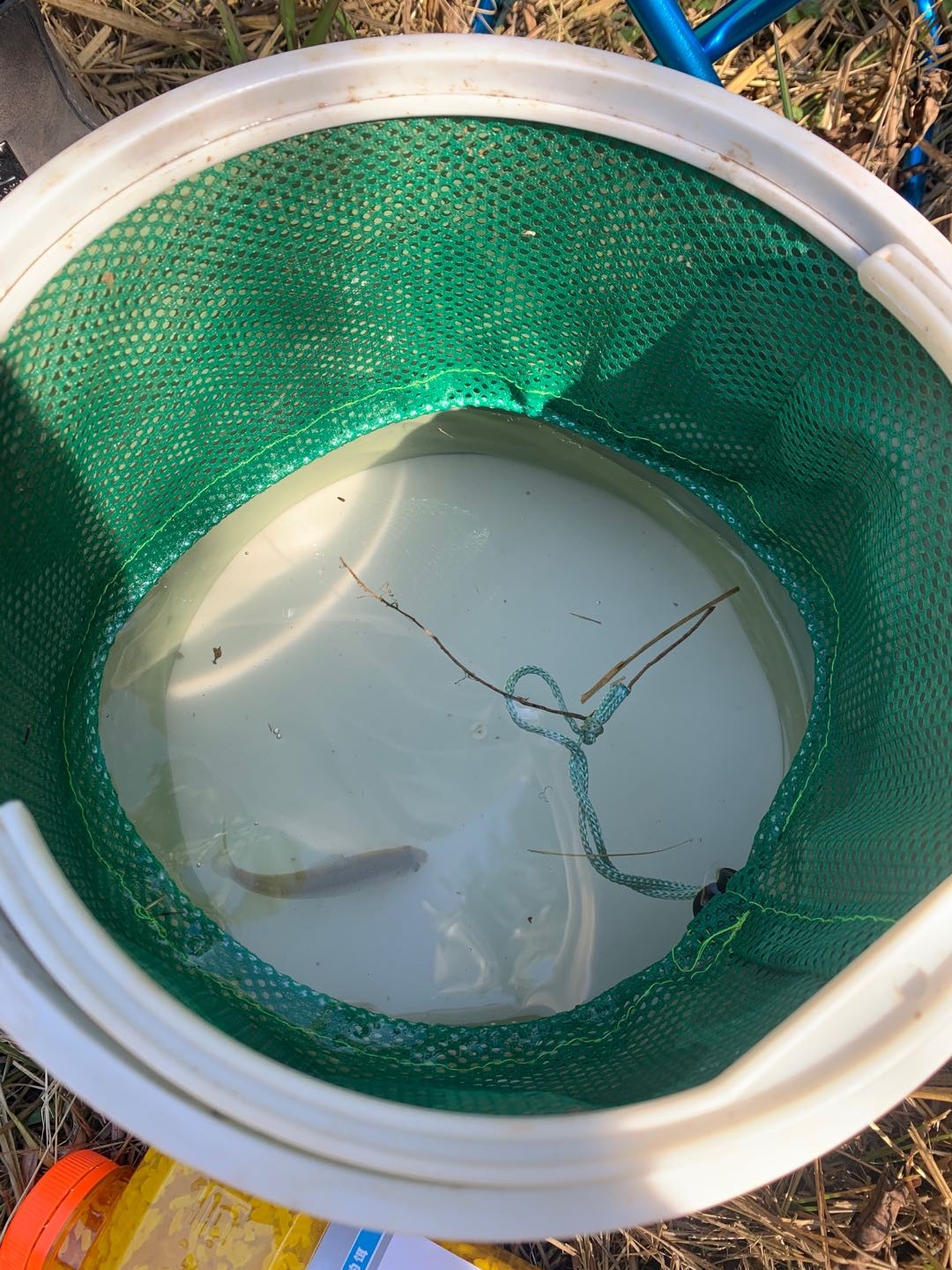 野钓桥边钓点,野钓探寻钓位