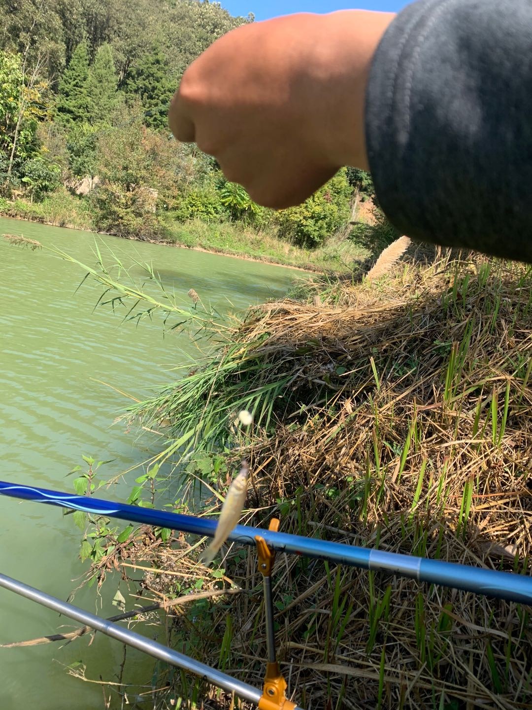 野钓桥边钓点,野钓探寻钓位