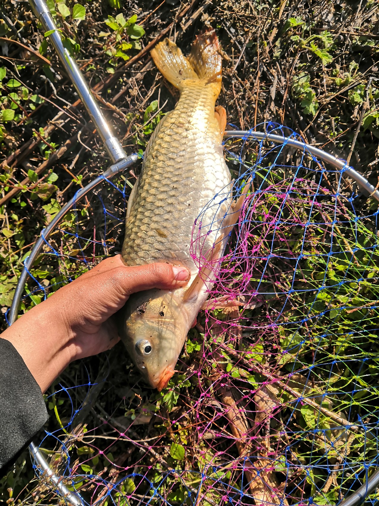 野钓桥边钓点,野钓探寻钓位