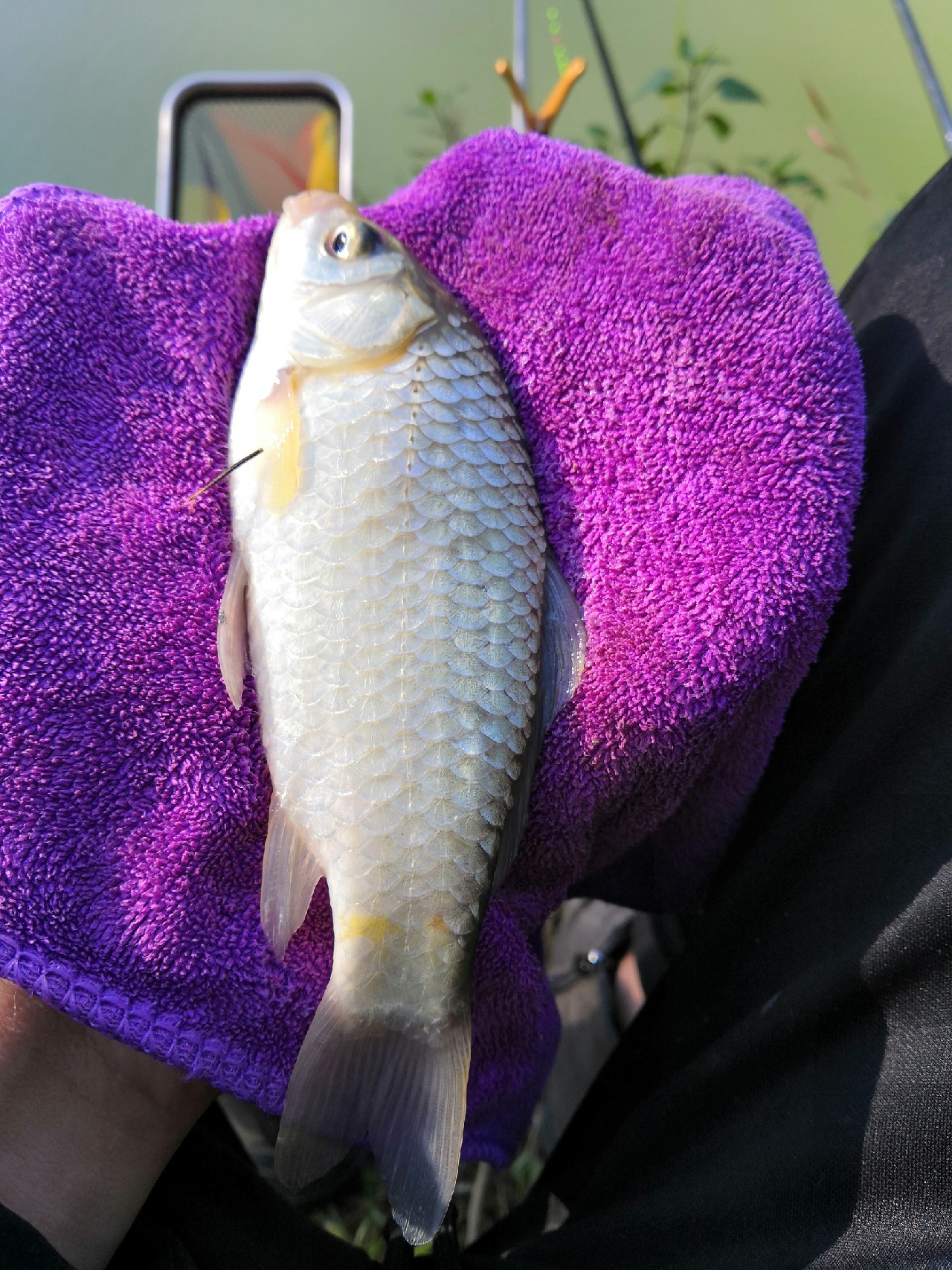 野钓桥边钓点,野钓探寻钓位
