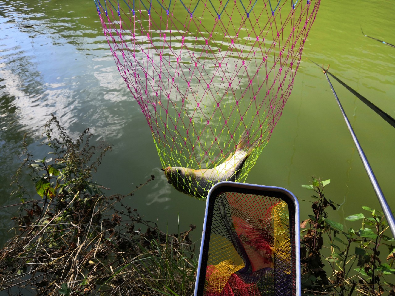 野钓桥边钓点,野钓探寻钓位