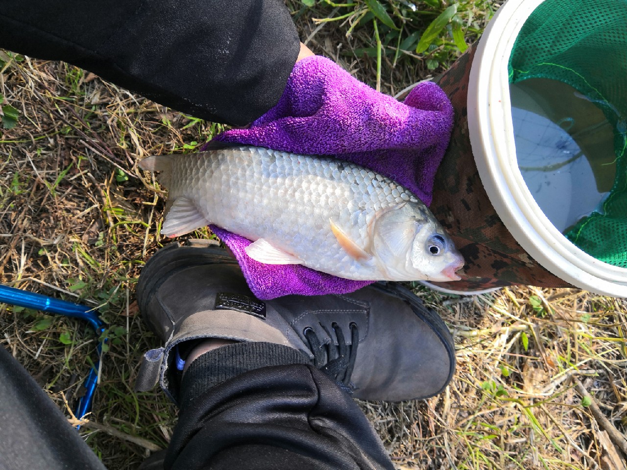 野钓桥边钓点,野钓探寻钓位