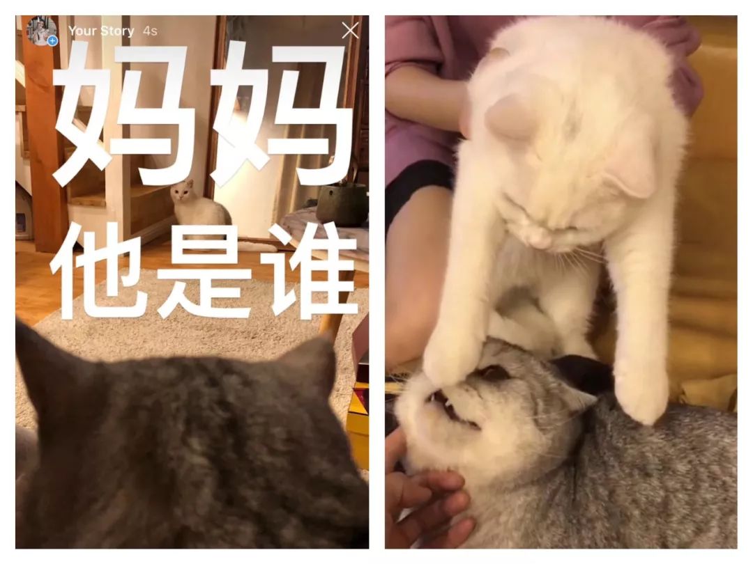 十一月好物种草,十一月好物