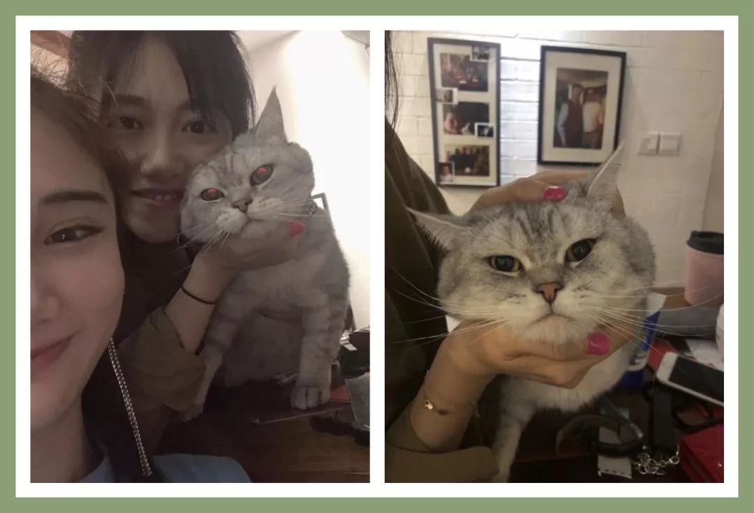 十一月好物种草,十一月好物