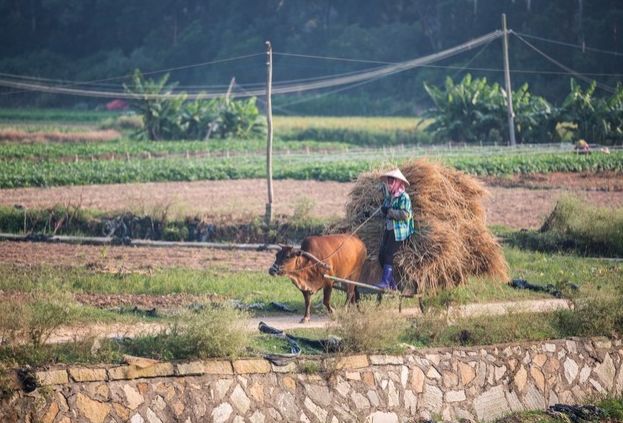 厦门地铁三号线最新运营时间,2023春节厦门地铁运营时间