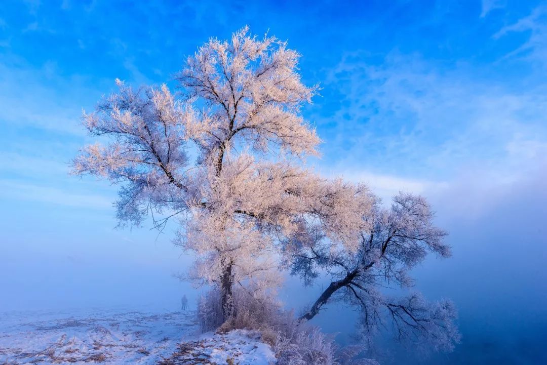 雾凇哪儿好看,吉林在哪里看雾凇比较好