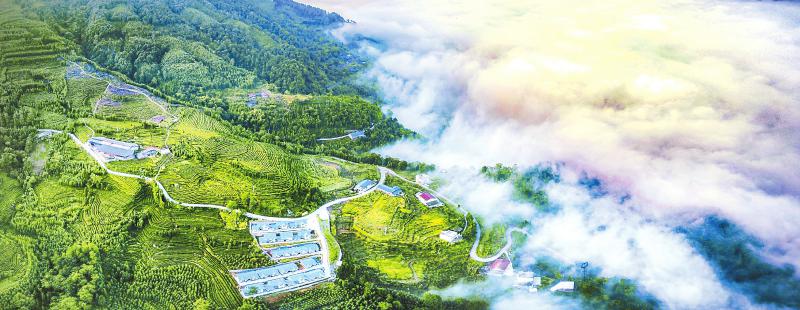 山水彝乡秀美马边宣传片,山水彝乡最新视频