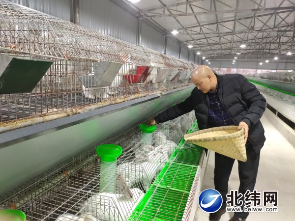 产业扶贫让贫困村变成富裕村,产业扶贫见实效脱贫致富奔小康