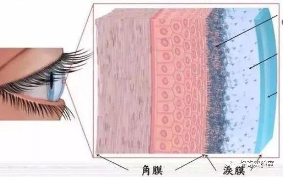 为什么把显示器垫高了眼睛不舒服,有没有必要把电脑显示屏垫高