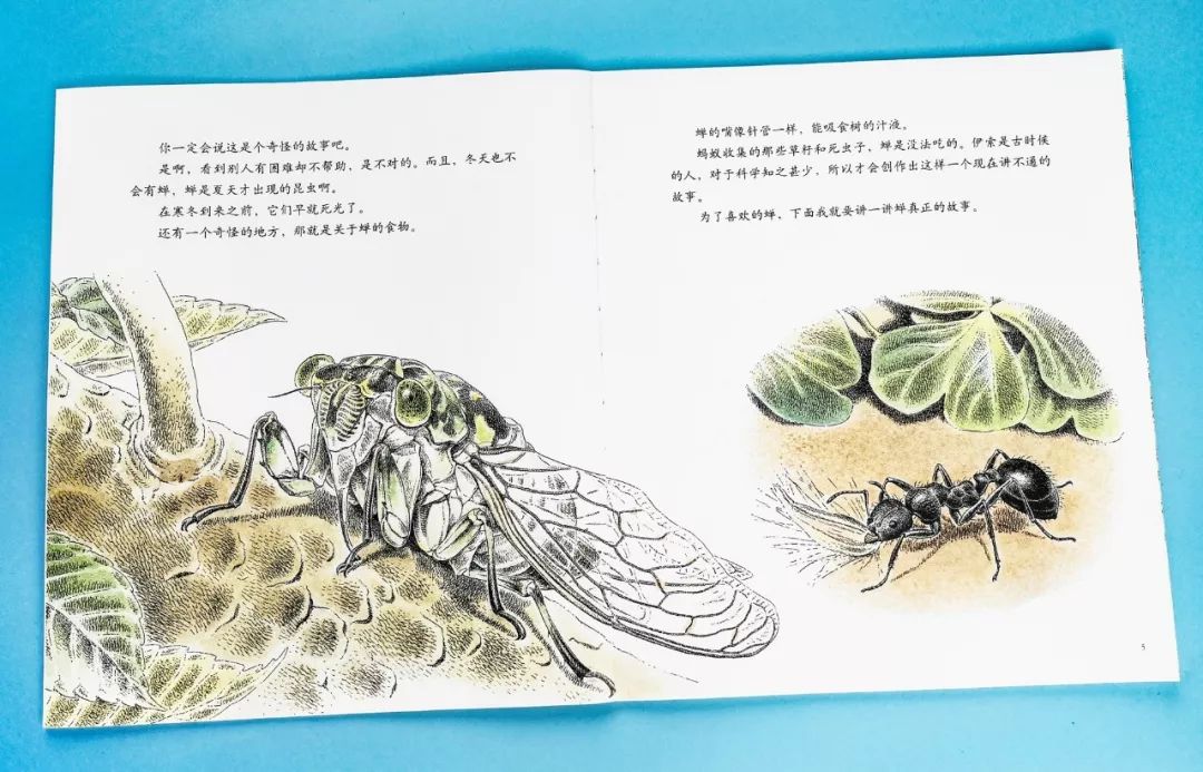 成长必读法布尔昆虫记,法布尔昆虫记书分享
