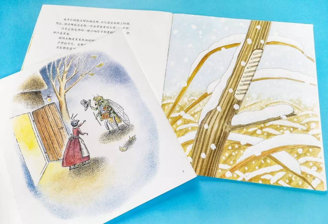 成长必读法布尔昆虫记,法布尔昆虫记书分享