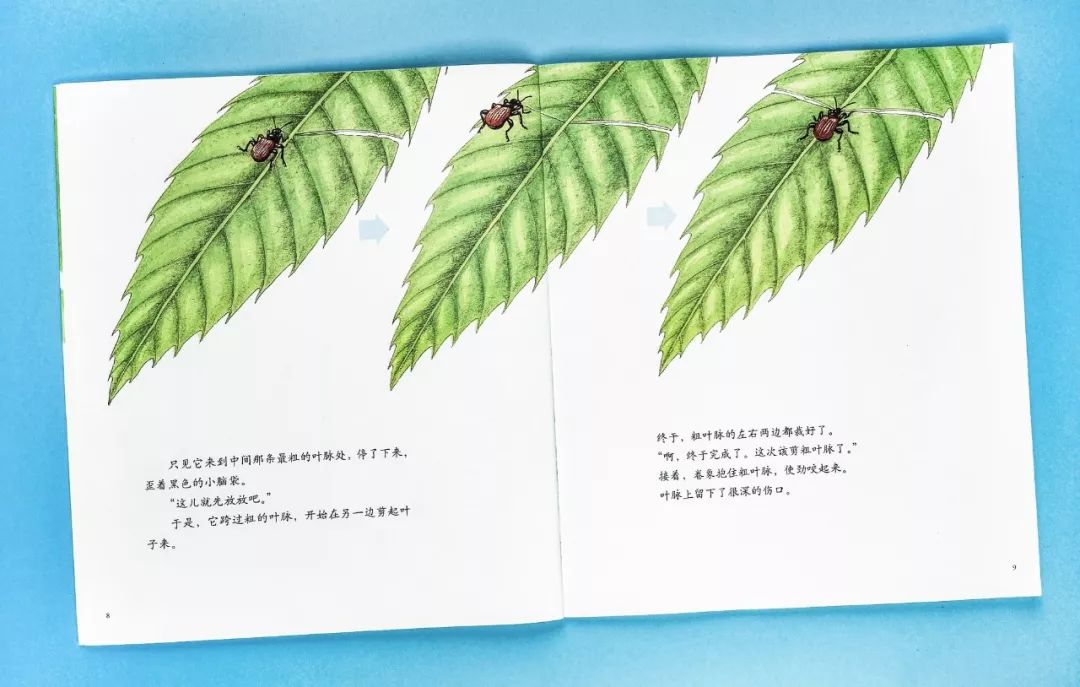 成长必读法布尔昆虫记,法布尔昆虫记书分享