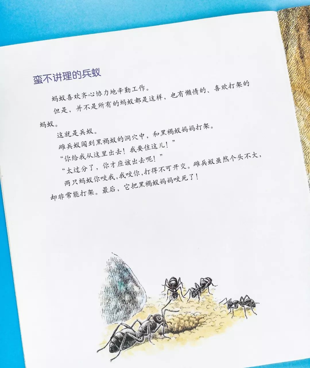 成长必读法布尔昆虫记,法布尔昆虫记书分享