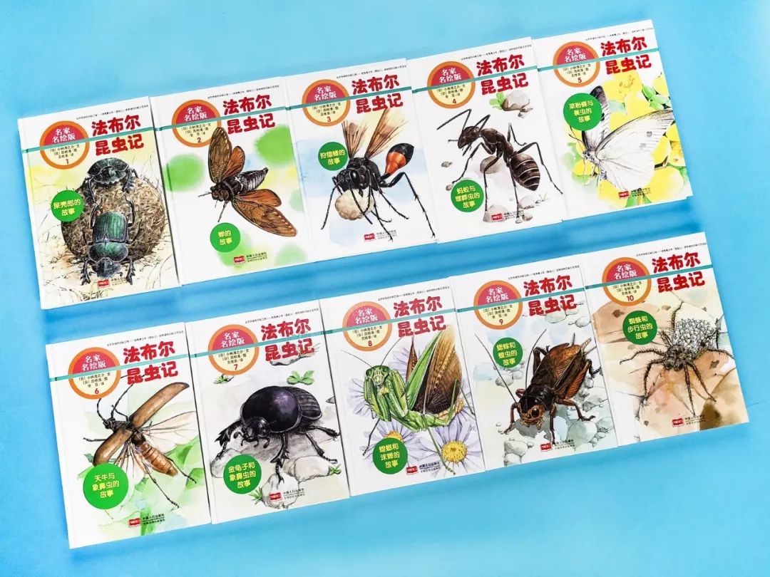 成长必读法布尔昆虫记,法布尔昆虫记书分享