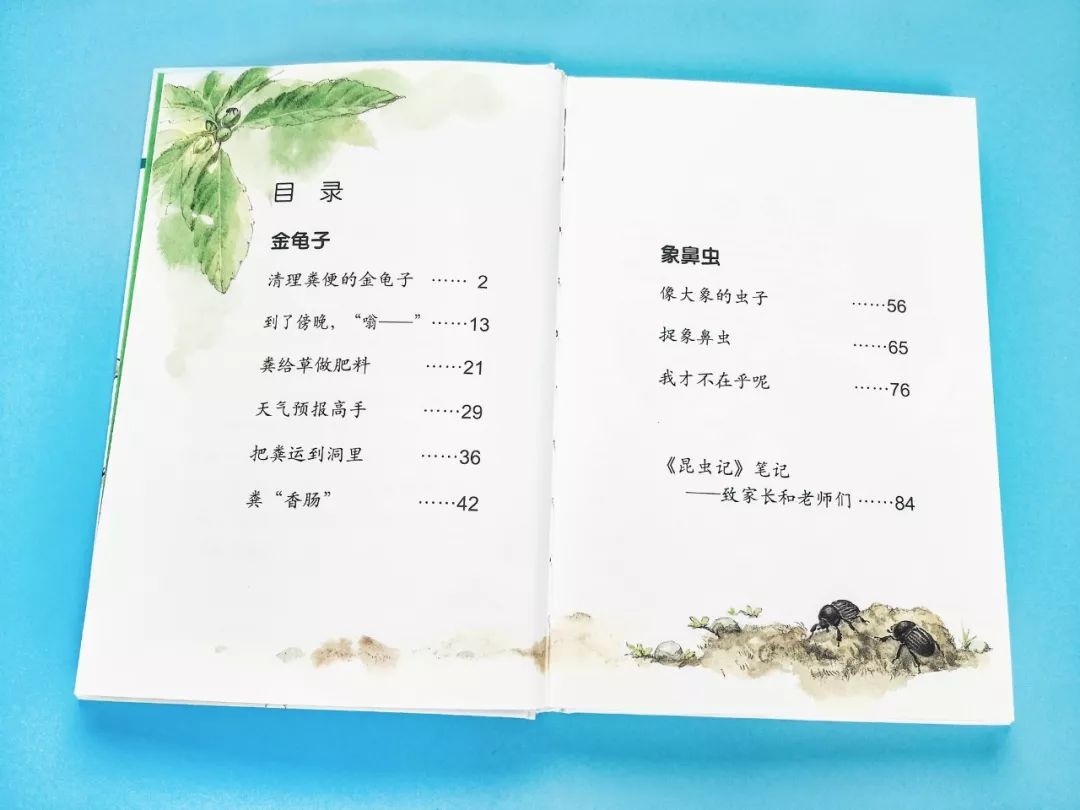 成长必读法布尔昆虫记,法布尔昆虫记书分享
