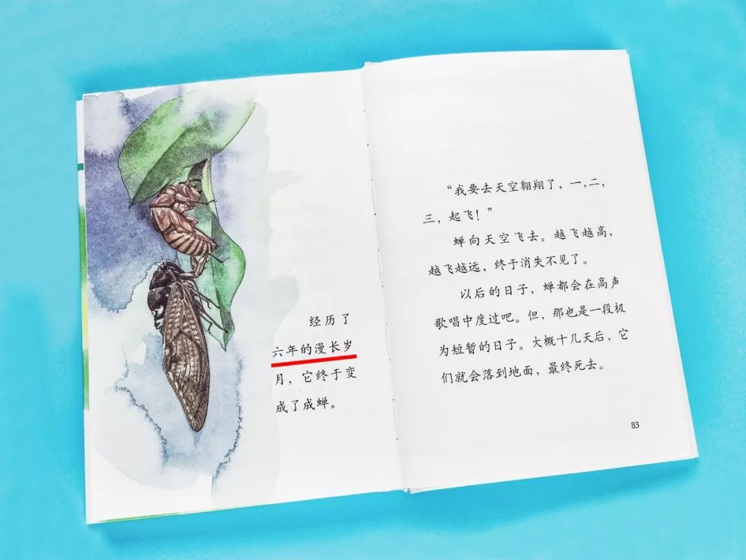成长必读法布尔昆虫记,法布尔昆虫记书分享