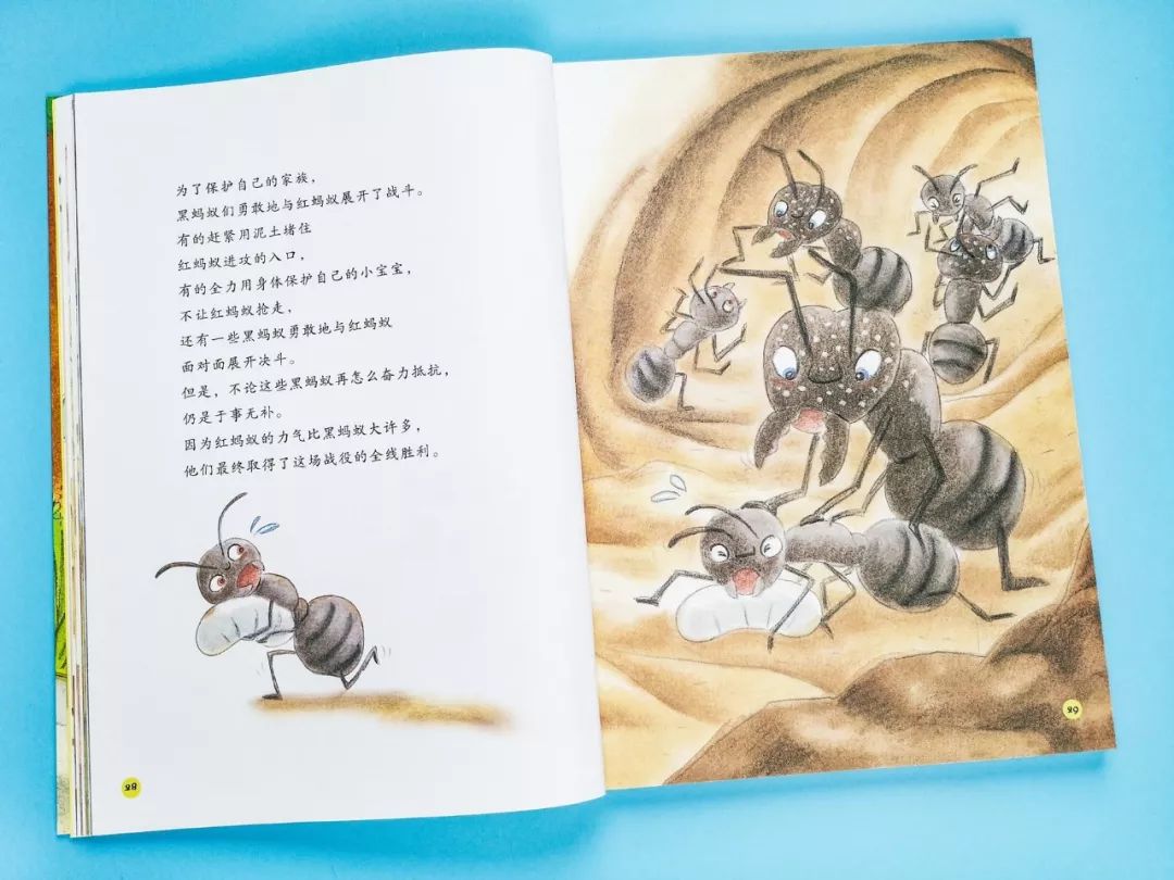 成长必读法布尔昆虫记,法布尔昆虫记书分享