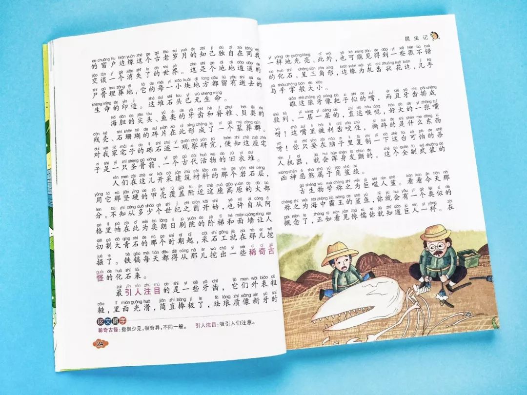 成长必读法布尔昆虫记,法布尔昆虫记书分享