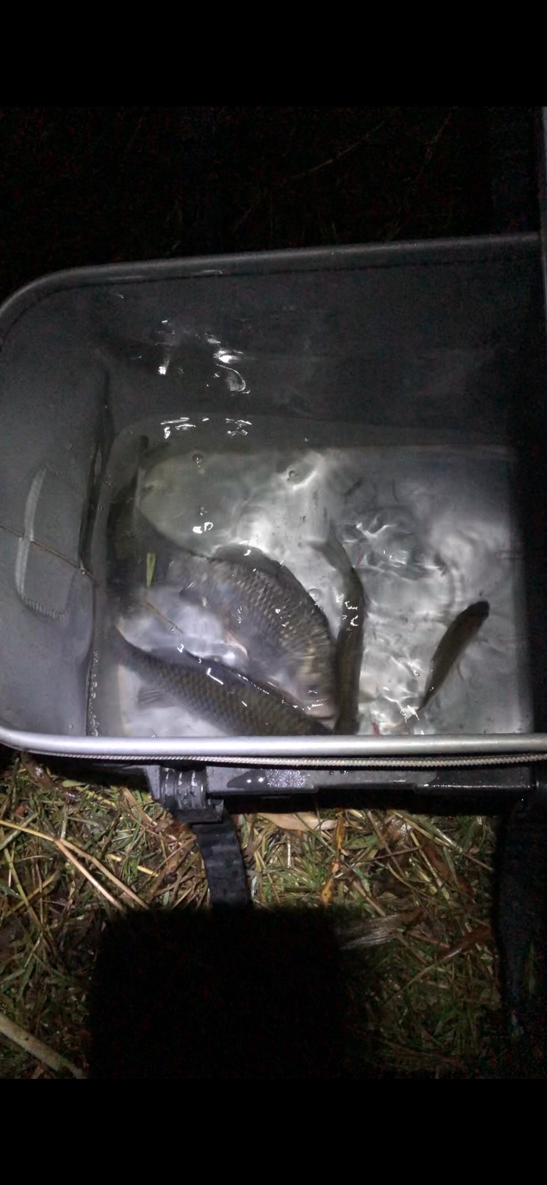 时隔一年再次踏上征程,时隔一年再次出征