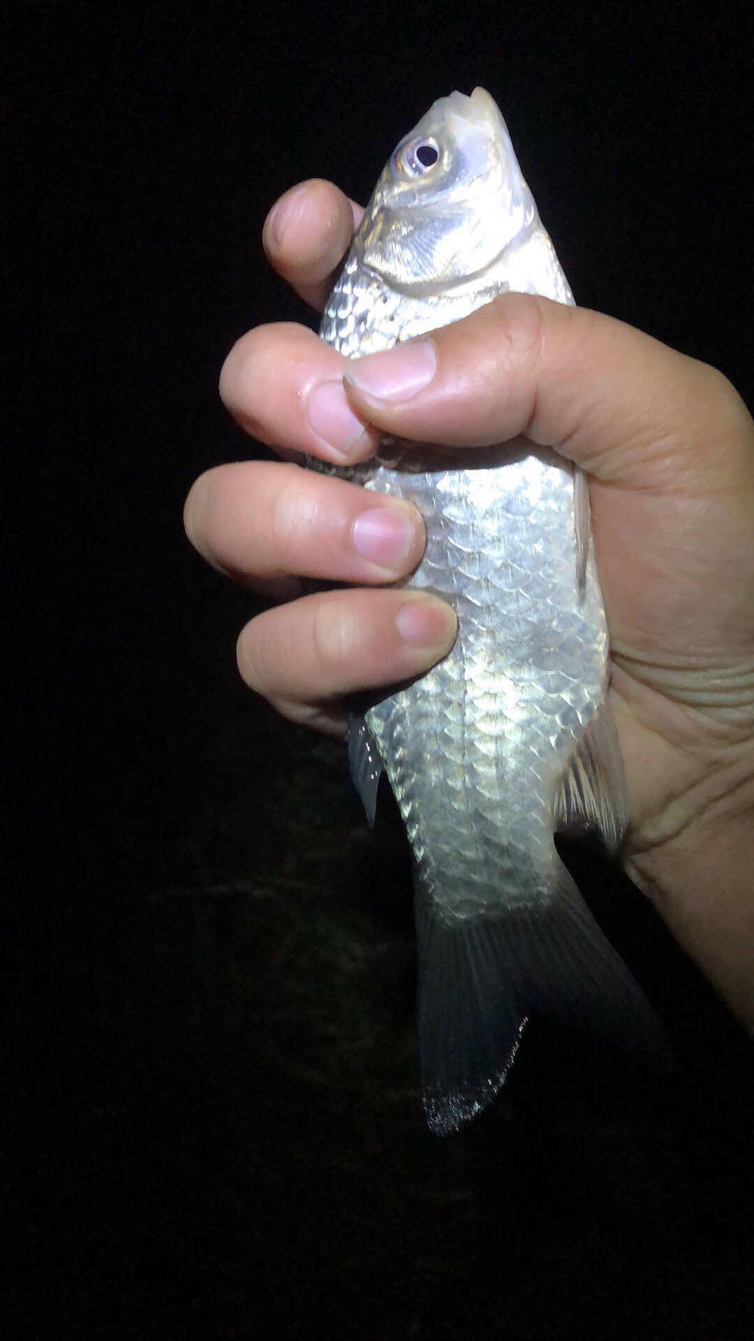 时隔一年再次踏上征程,时隔一年再次出征