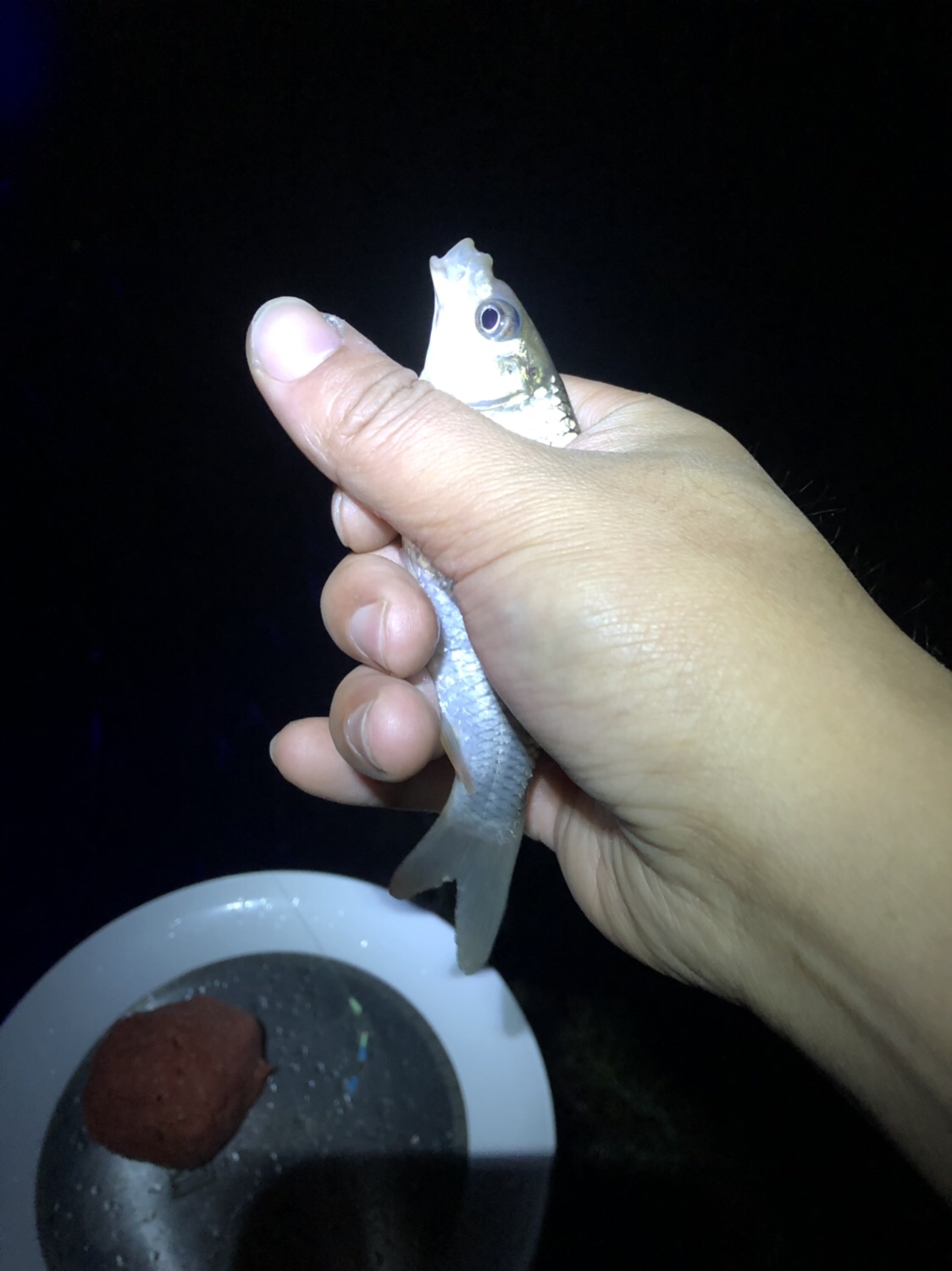 时隔一年再次踏上征程,时隔一年再次出征