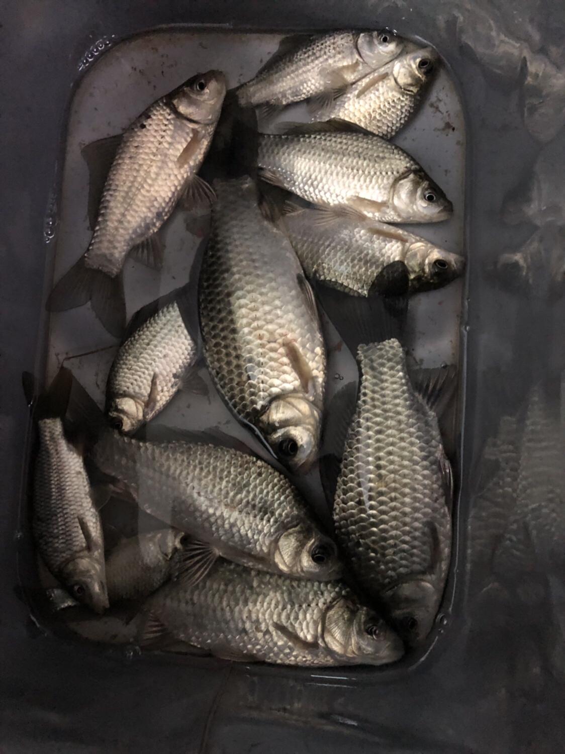 时隔一年再次踏上征程,时隔一年再次出征