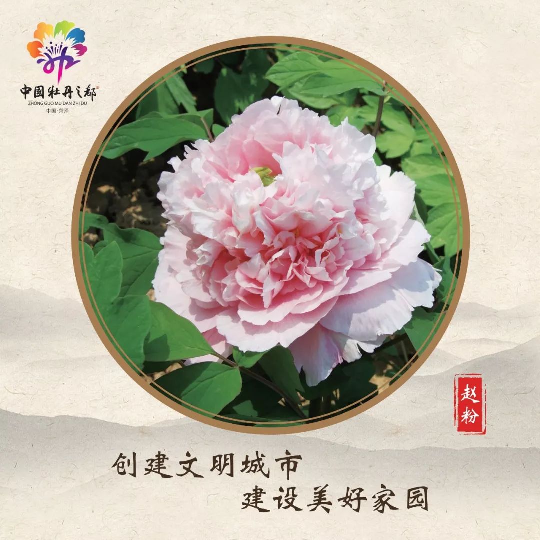 菏泽新时代文明实践标志,新时代文明实践站与文化站指示牌