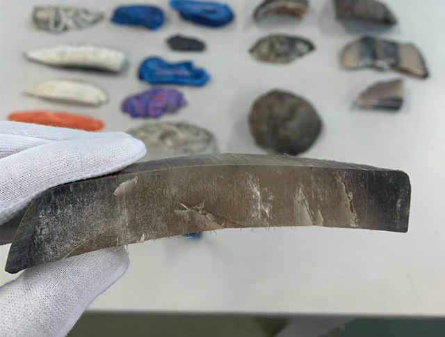 身携滴血犀牛角,难逃大数据法网