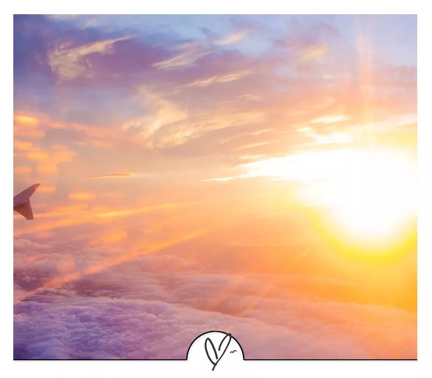 朋友圈拉投票幽默简短句子,10个幽默句子