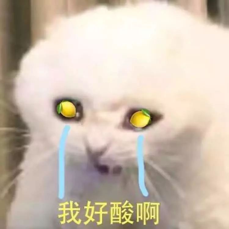 2019年国家公布的十大流行语,我太南了入选全国十大流行语