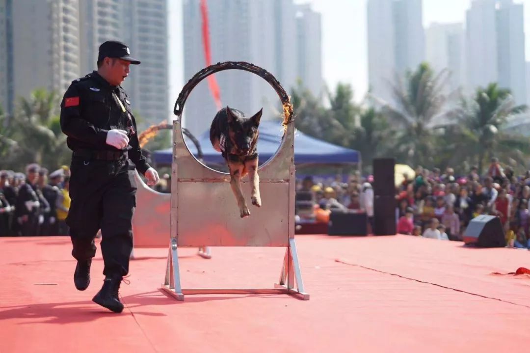 12月2日全国交通安全日视频宣传,第12个全国交通安全日宣传活动