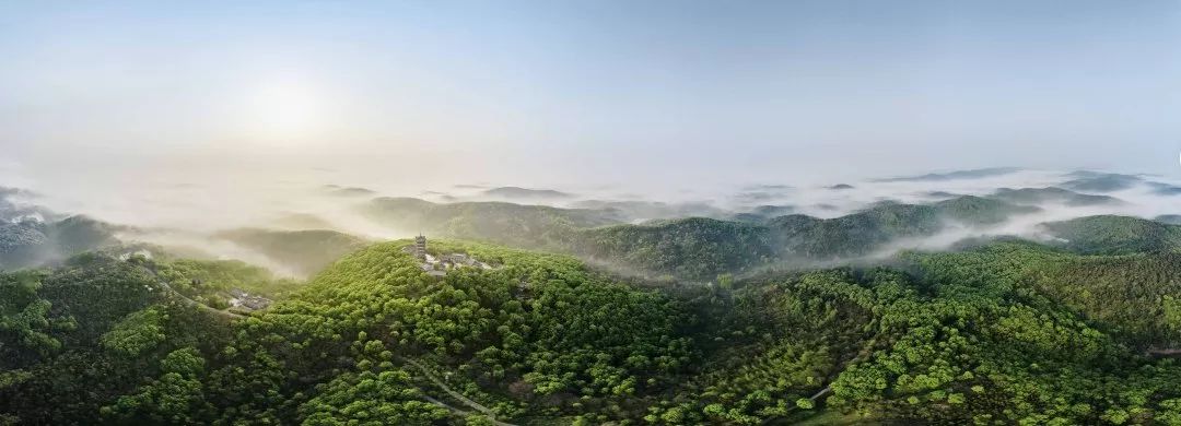 合肥的肥是什么肥,合肥最富的是哪个县