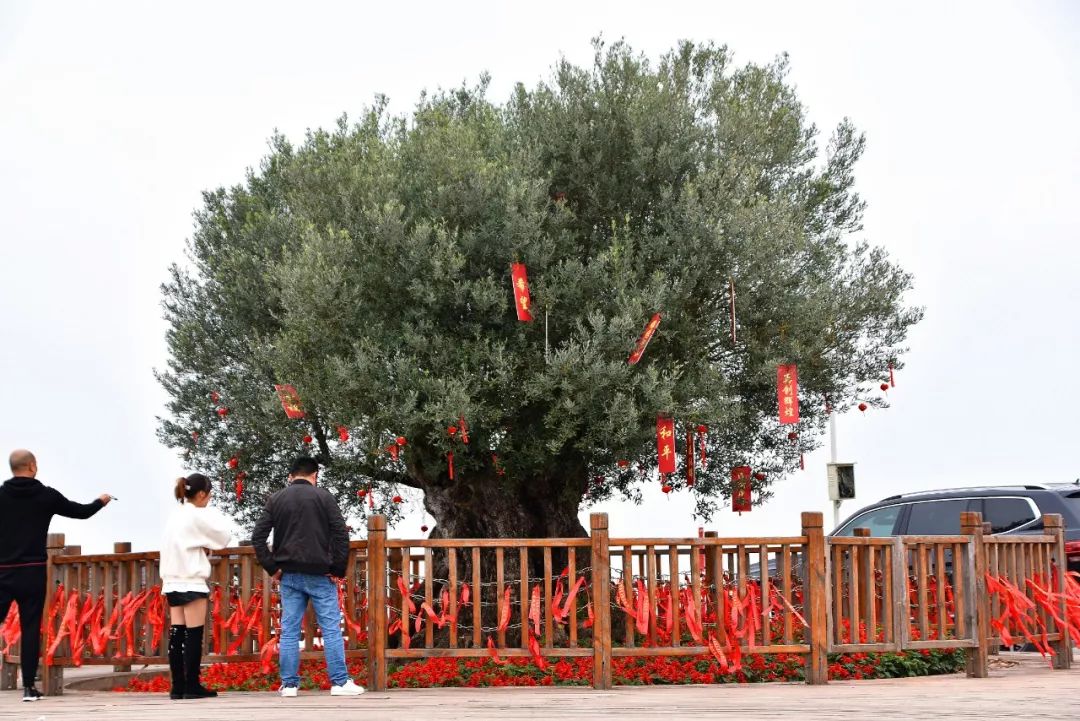 所有车主,低配不够好吗?奶爸车主sayno:就是看中了骏派D60的外观靓,好开省油,四年零事故,技术好车子稳